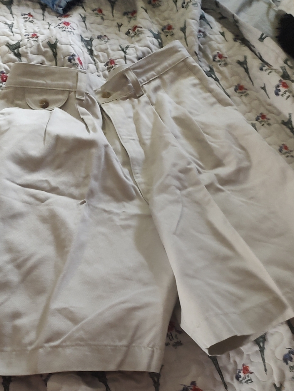 Lee Shorts in Light Beige